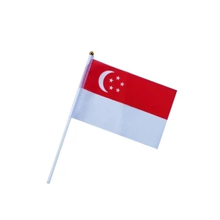 ธงชาติไทย ธงชาติ 10 ประเทศอาเซียน ชุดธงถือ 10 ประเทศอาเซียนขนาดเล็กพร้อมส่ง