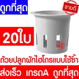 *clearance* ส่งไว ถ้วยปลูกผัก 20ใบ ถ้วยขาวปลูกผัก ไฮโดรโปนิกส์ ไฮโดร สลัด salad hydroponic hydro แบบใช้ซ้ำ หนา เหนียว ค