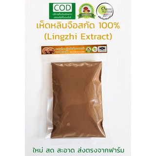 วัตถุดิบ เห็ดหลินจือExtract 100% ออร์แกนิค ส่งตรงจากฟาร์ม ( Lingzhi , Reishi , Extract 100% , Powder , Organic )