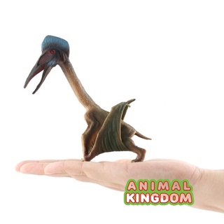 Animal Kingdom - โมเดลไดโนเสาร์ Hatzegopteryx เขียว ขนาด 14.00 CM (จากหาดใหญ่)