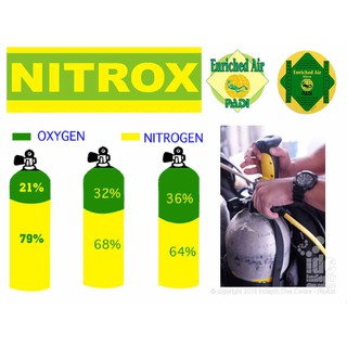 Nitrox / EAN Course เรียนรู้การใช้อากาศที่ลดไนโตรเจน ทำให้อยู่ใต้น้ำได้นานขึ้น