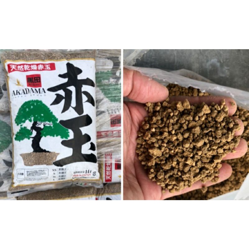 (500 กรัม)🇯🇵 ดินญี่ปุ่น Akadama ดิน ดินปลูกแคคตัส