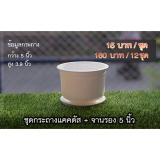 กระถางแคคตัส กลม 5 นิ้ว พร้อมจานรอง สีขาว จำนวน 5 ชุด