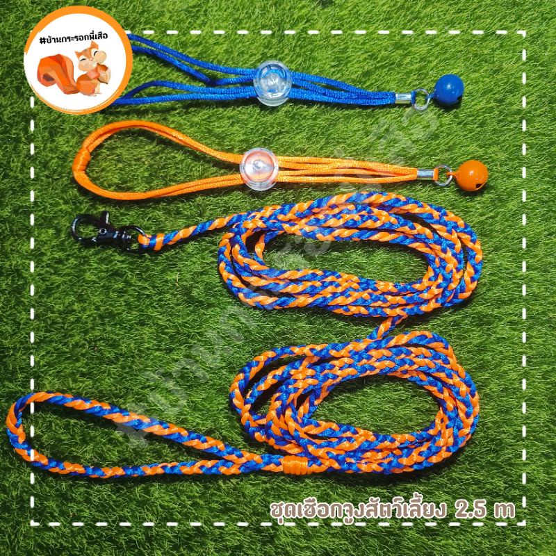 ชุดเชือกจูง 2.5 เมตร รัดอก 2เส้น ส้ม-น้ำเงิน