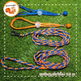 ชุดเชือกจูง 2.5 เมตร รัดอก 2เส้น ส้ม-น้ำเงิน