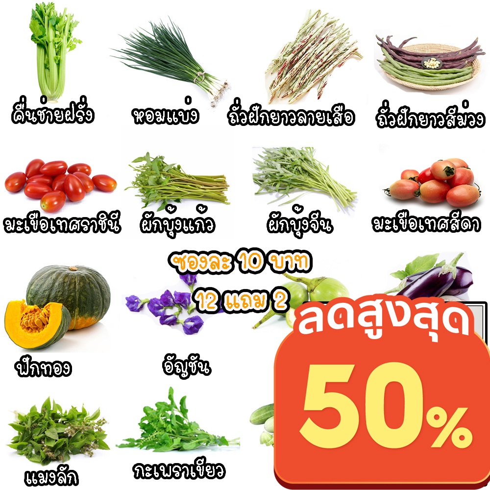 เมล็ดพันธุ์ผักสวนครัว ผักพื้นบ้าน 10 บาท / 12แถม2