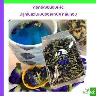 ดอกอัญชันแห้ง ขนาด 100 กรัม อัญชันอบแห้ง ดอกอัญชันอบแห้ง ชาอัญชัน อันชัน Butterfly pea ปลอดสารเคมี organic 100%