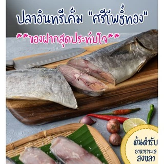 ปลาอินทรีเค็มแพ็คซีลสุญญากาศ 4 ชิ้นหนา (200 กรัม) สูตรเค็มน้อย จากชาวประมงโดยตรง