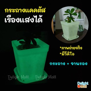 กระถางเรืองแสง《เซ็ต 2 ใบ》กระถางสี่เหลี่ยม 3 นิ้ว กระถางกระบองเพชร กระถางพลาสติก กระถางทรงสี่เหลี่ยม กระถางรดน้ำ