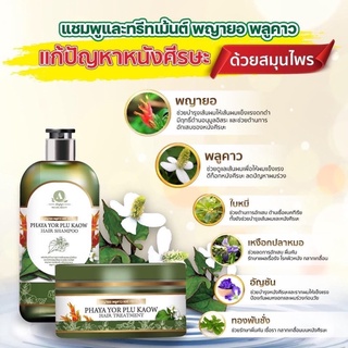 ของแท้ ถูกที่สุด ยาสระผมพญายอ 1 ขวดแถมทรีทเม้นท์ 1 กระปุก 🍀 ขจัดรังแค ลดผมร่วง เชื้อราบนศีรษะ  (แชมพู 1 ทรีทเม้น 1)