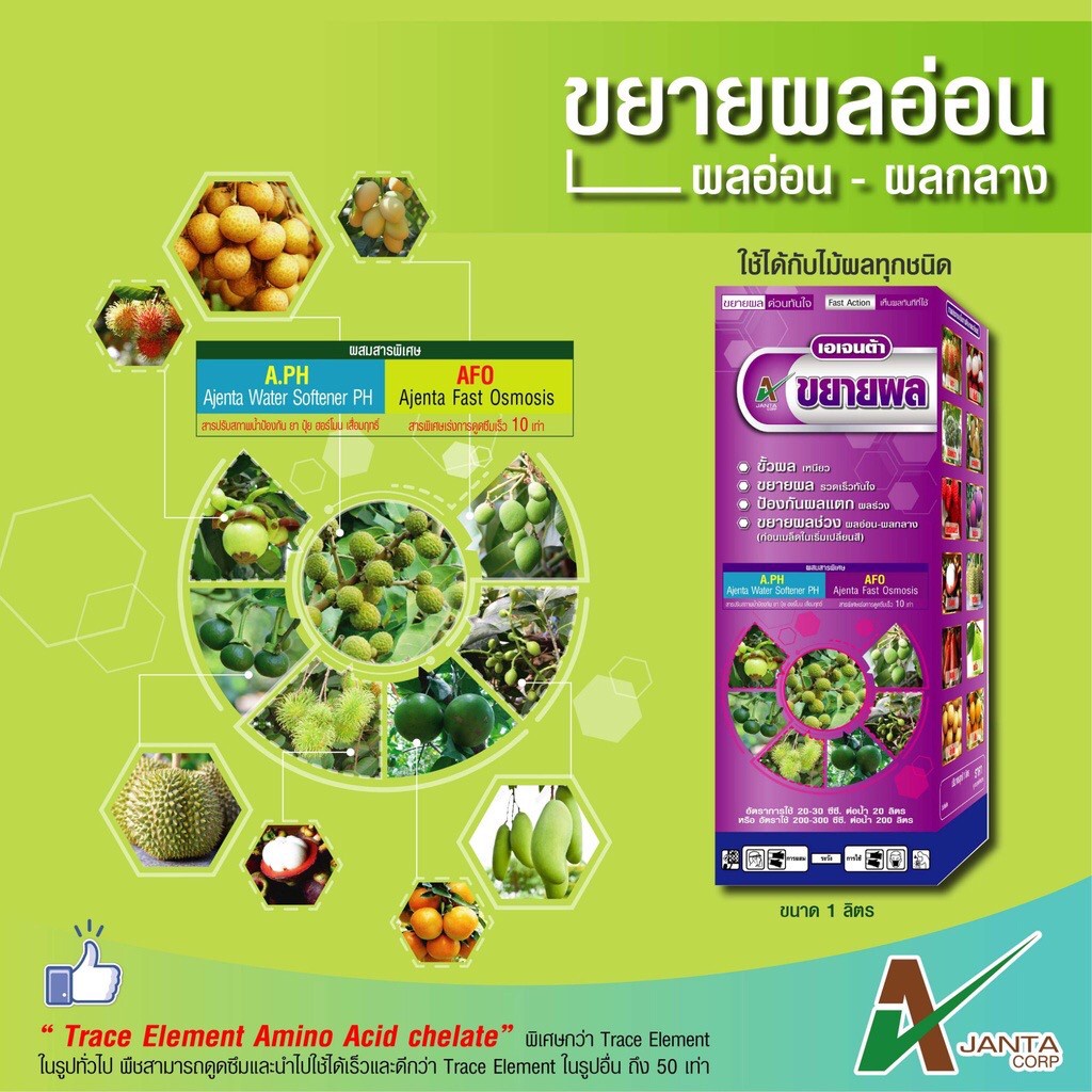 ขยายผล ขยายผลอ่อน ปุ๋ยทางใบ ใช้ตั้งแต่ผลเล็ก - ผลกลาง ขั้วผลเหนียว ป้องกันผลแตก ผลร่วง เอเจนต้า คอร์ป (1 ลิตร)