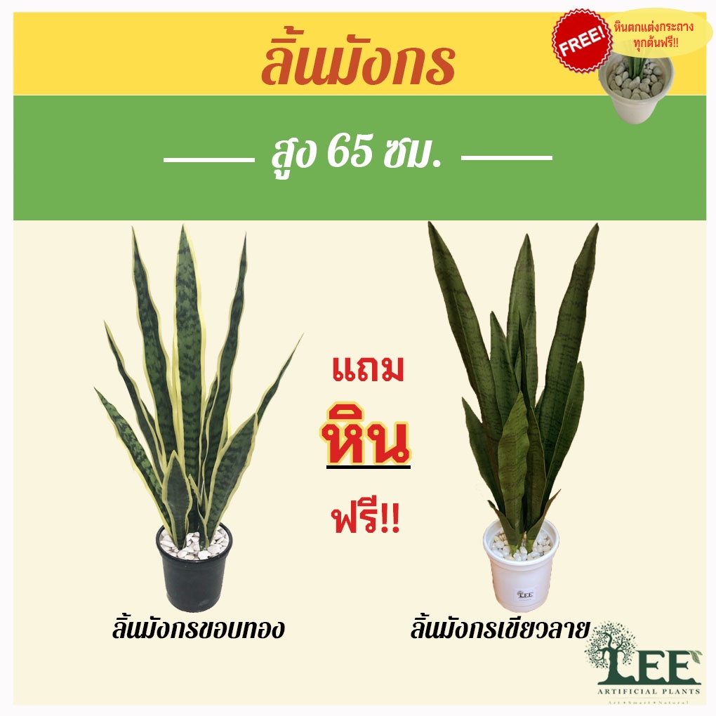 ต้นลิ้นมังกร ต้นไม้มงคลประดิษฐ์ต้นไม้ปลอม ขนาด 65 ซม.พร้อมกระถางธรรมดา/มินิมอล #ต้นไม้ปลอมแต่งบ้าน Leeartplants