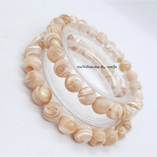 เปลือกหอยมือเสือ Golden Tridacna Shell