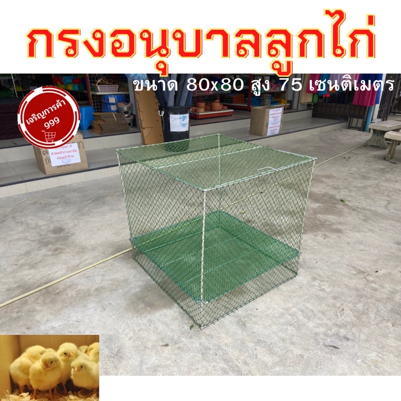 กรงอนุบาลไก่ สุ่มกรง สุ่มไก่ กรงไก่ชน ไก่ชน กรงลูกไก่ พับได้ เปิดหัวได้ สี่เหลี่ยม