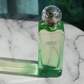 Hermes un jardin sur le toit edt 100 ml