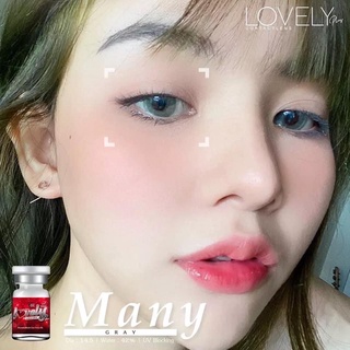 คอนแทนเลนส์ lovely lens ลายใหม่ Many สีเทา/น้ำตาล