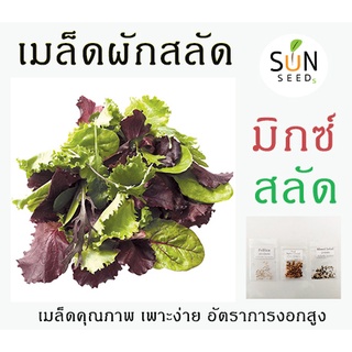 เมล็ดสลัด มิกซ์สลัด (Mixed Salad) 10 บาท 100-120 เมล็ด เพาะง่าย อัตราการงอกสูง ผัก เมล็ดผัก เมล็ดพันธุ์ สลัด ผักสลัด