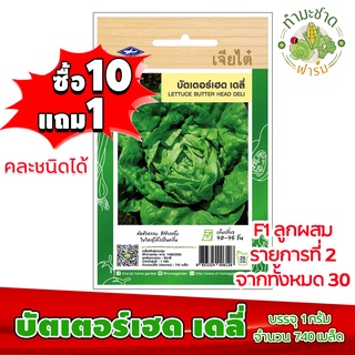 (ซื้อ10แถม1) เมล็ดพันธุ์ บัตเตอร์เฮด เดลี่ Lettuce butter head deli ประมาณ 740เมล็ด เจียไต๋ เมล็ดพันธุ์พืช เมล็ดพันธุ์