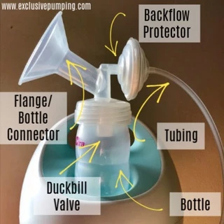 ตัวกันย้อน / ตลับกันย้อน Spectra / Cimilre / Maymom (ราคาต่อชิ้น) backflow