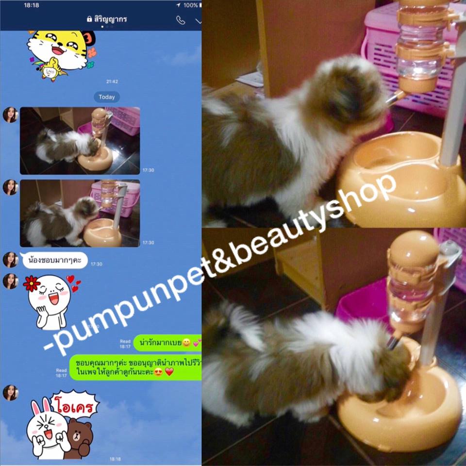 ชุดให้น้ำและอาหาร สุนัข&แมว แบบขาตั้ง 2 ช่อง (สีครีม/แดง/ส้ม/ฟ้า)