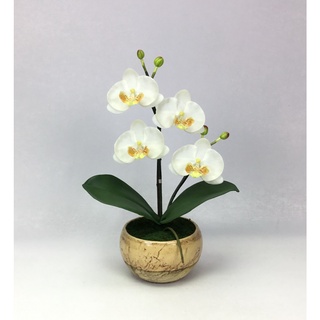 OrientalFineArt ดอกไม้แต่งบ้าน ดอกกล้วยไม้ปลอม phalaenopsis จัดในกระถางเซรามิคสีครีม สำหรับประดับตกแต่ง