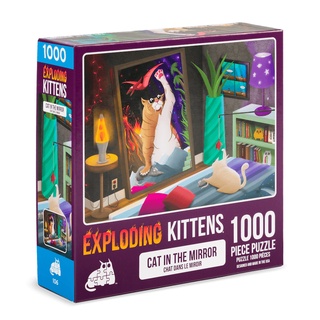 [Puzzle] Exploding Kitten: Cat in the Mirror