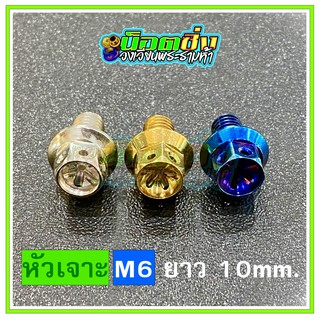 น็อตสแตนเลส หัวเจาะดอกไม้ ขนาดเกลียว m6 ยาว 10 mm.