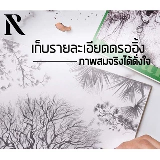 Renaissance A3 A4 กระดาษ 100 ปอนด์ เรนาซองซ์ 200g. สมุดวาดเขียน วาดรูป 15แผ่น/เล่ม Premium water color pad drawing paper