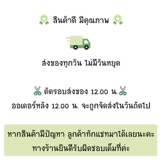ชุด ผ้าปั๊มคาร์บู ผ้าปั๊ม คาร์บูเรเตอร์ เครื่องตัดหญ้า พ่นยา 260 / 767 / GX35