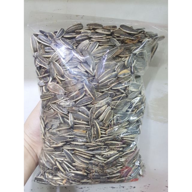 เมล็ดทานตะวัน ขนาด 500กรัม (แบบดิบ)