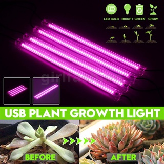 ไฟ LED A2 สีชมพู สีม่วง 220v 50 ซม. สําหรับปลูกพืช
