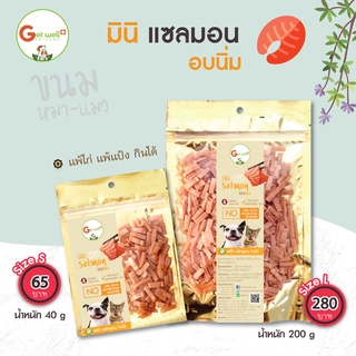 Get Well มินิ แซลมอน อบนิ่ม 200 ก ขนมหมา ขนมแมว ไม่ปรุงรส หมา แมว แพ้ไก่ แพ้กลูเตน กินได้