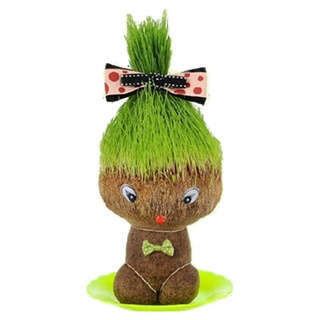❗️ตุ๊กตาหัวหญ้า❗️ ตุ๊กตาหญ้า หญ้าแมว กระถางสร้างสรรค์ grass head ของขวัญคริสต์มาส