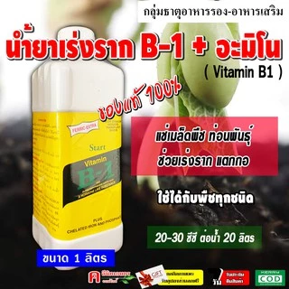 น้ำยาเร่งราก B1 วิตามิน บี1 ( Vitamin B1 ) เหมาะสำหรับ แช่เมล็ด กิ่งตอน ปักชำ เร่งราก บำรุงราก เช่น มันสำปะหลัง