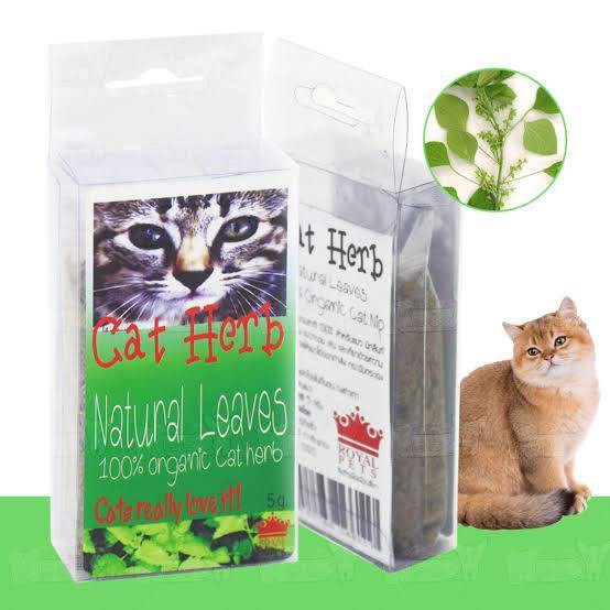 Cat Herb สมุนไพรธรรมชาติ 100% 5 กรัม.