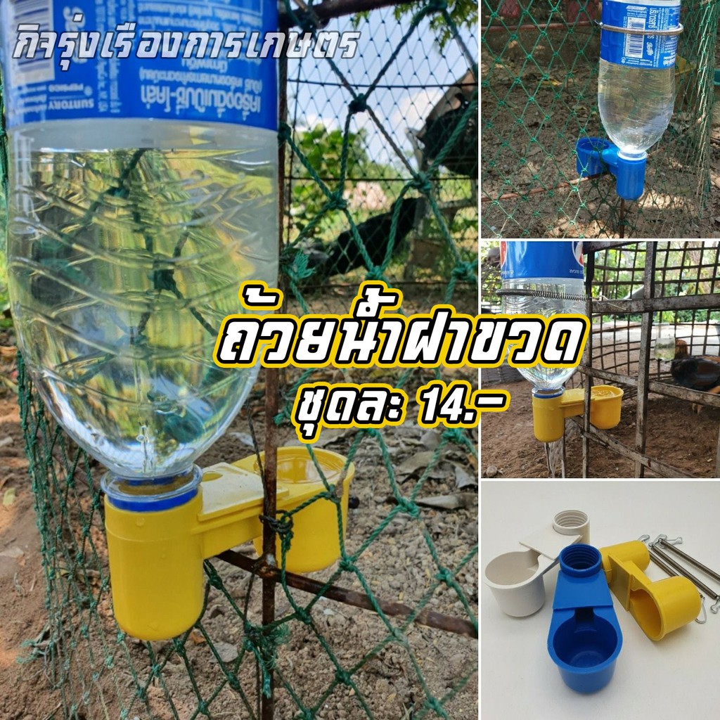 ถ้วยน้ำไก่ชน แถมฟรีสปริงเกาะสุ่ม #ที่ใส่น้ำไก่ #ถ้วยน้ำแขวนสุ่ม #ถ้วยน้ำสำหรับไก่ชน