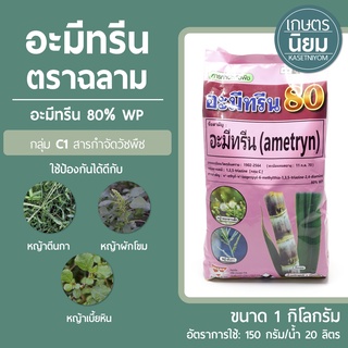 อะมีทรีน ตราฉลาม (อะมีทรีน 80% WP แบบผง) 1 กิโลกรัม