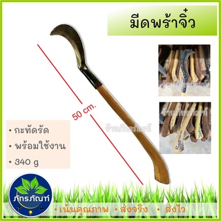 มีดพร้า จิ๋ว พร้อมด้าม (ยาว 50 cm) พร้าจ้อย พร้าเล็ก ลูกพร้า มีดเดินป่า มีดทำสวน  ขนาดกระทัดรัดพกพาสะดวก ถือถนัดมือ