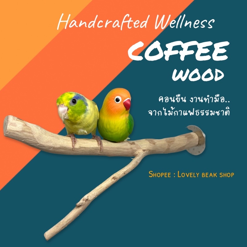 คอนยืนนกทำมือ จากไม้กาแฟธรรมชาติ คอนไม้สำหรับนก อุปกรณ์ตกแต่งกรงนก