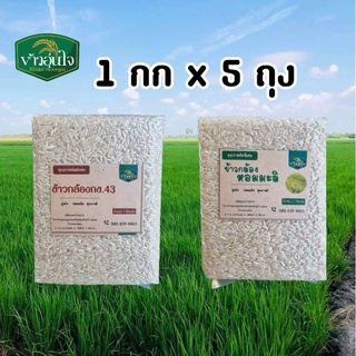 กล้องหอมมะลิ  กล้องกข43 ข้าวหอม ข้าวน้ำตาลต่ำ ข้าวสำหรับเบาหวาน ลดน้ำหนัก 1 กก x 5 ถุง