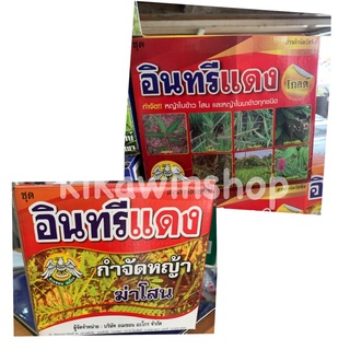 อินทรีแดง อินทรีแดงโกลด์ กำจัดหญ้าโสน ฆ่าหญ้าโสน หญ้าในนาข้าว