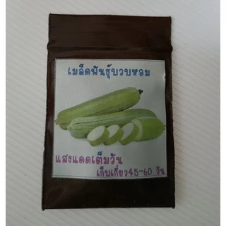15 เมล็ด เมล็ดพันธุ์บวบหอม