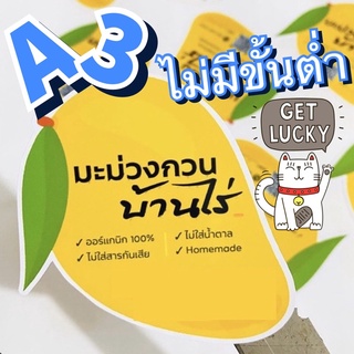 สติกเกอร์ฉลากสินค้า PP ✅ ขนาดA3 กันน้ำ100% ฉีกไม่ขาด พร้อมไดคัท Sticker Label (สำหรับลูกค้ามีแบบมาเอง) ไม่มีขั้นต่ำ‼️