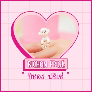 Ring / แหวน : Bichon frise / บิชอง ฟริเซ่