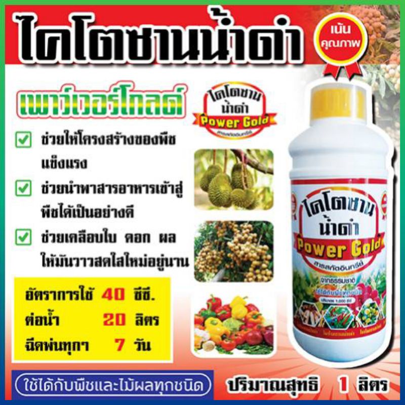 ไคโตซานน้ำดำ ฮอร์โมนพืชทางใบ พืชแข็งแรงโตเร็ว รูปที่ 2