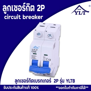 เบรกเกอร์ เมนเบรกเกอร์ ชนิด 2P รุ่น YLTBH 2P แบบเกาะราง