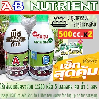 ปุ๋ย ab ,ปุ๋ยน้ำ AB ,ปุ๋ย A+B ปุ๋ยผักสลัด แพ็คคู่ ขวดละ 500 ml.สารละลายabผักไร้ดินสำหรับผักไฮโดรโปนิกส์ Hydroponics