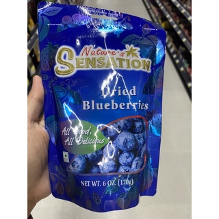 Nature’s Sensation Dried Blueberries 170 G. บลูเบอร์รี่ แห้ง ตรา เนเจอร์ เซ็นเซชั่น