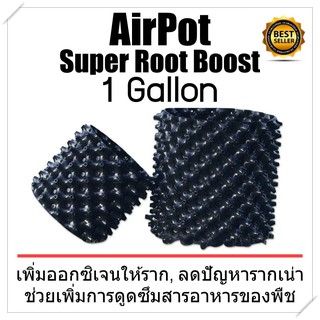 ส่งฟรี! Airpot Grow Bag กระถางปลูกต้นไม้ระบายอากาศ: 1 Ga ป้องกันรากเน่า ช่วยให้อากาศถ่ายเท เซ็ต 1-4 ใบ ใช้ซ้ำได้