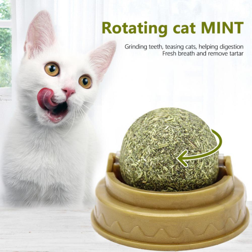 แมว Catnip Ball ของเล ่ นธรรมชาติเพื ่ อสุขภาพแมว Mint Wall Stick-on Ball Treats ส ่ งเสริมการย ่ อยอาหารแมวหญ ้ าเลียขนมขบเคี ้ ยว Catnip สัตว ์ เลี ้ ยงของเล ่ น